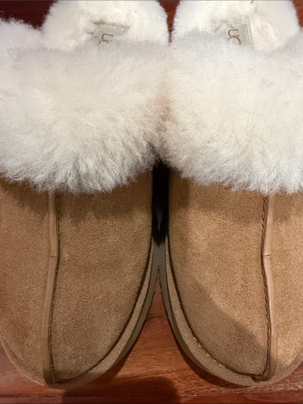 Authentic Disquette UGG Slippers - Picture 3 of 10